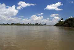 Deep DOF on Rufiji river