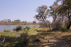 Small lakes like this are a favoutite haunt for hippos