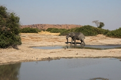 Several water holes are kept open throughout the dry season to stop all the game from migrating