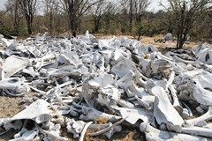 Elephants Graveyard?  Well yes, but it's actually part of a hunting camp where the butchered skulls of elephants shot by trophy hunters for their ivory were left to be picked clean by scavengers, and then bleached white by the sun