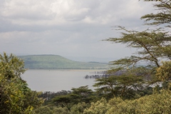 1417 A view across Lake Nakuru
