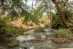 A tributary of the Murera river