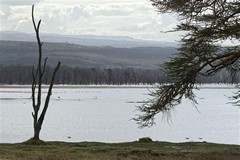  View across the lake