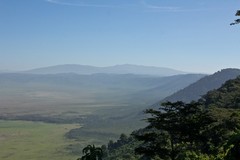 The forested slopes of the Ngorongoro crater