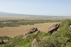 Looking across Olduvai gorge to the Serengeti plains beyond