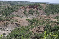 473 Olduvai gorge - also known as the 'cradle of mankind'. Four types of hominid fossils were discovered here