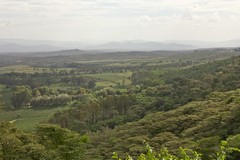View looking Southeast from the forested slopes of Ngorongoro