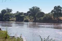 The Great Ruaha river at its best. It used to flow like this all year round before the advent of rice farming