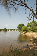 The Ruaha river is flowing well right across from bank to bank. It is not usually very deep and elephants can wade across in numerous places
