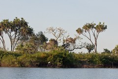 This small island in Lake Nzerakera serves as a nest site for hundreds of birds of various types