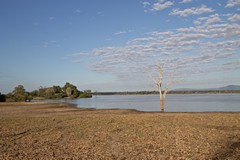 The high water mark can be seen on the tree trunk. As the water recedes a wide muddy plain rapidly dries out