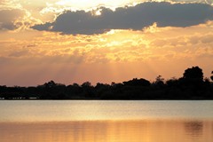 Golden Sunset in Selous