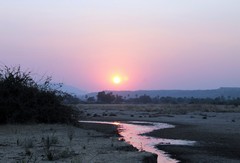 Sunset over the Ruaha river. In a few more weeks this trickle will stop until it rains in November