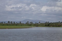 A bend in the river with hippos and crocodiles in abundance