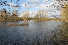 A lake in March