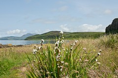 Arran coastline