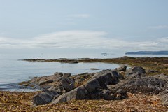 Arran coastline