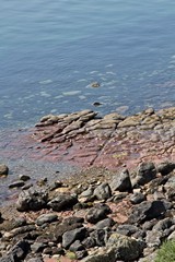 Arran coastline