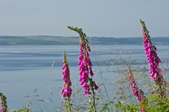 Arran coastline