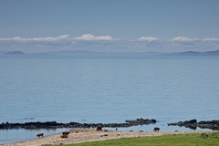 Arran coastline