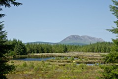 Arran inland