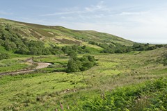 Arran inland