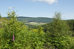 Arran inland