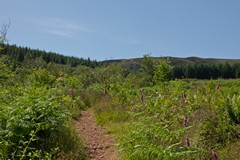 Arran inland