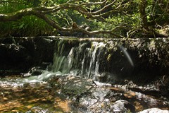 Arran inland