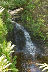 Arran inland