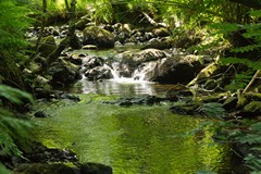 Arran inland