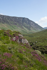 Arran inland