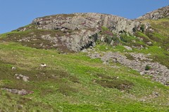 Arran inland