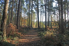 Logging operations