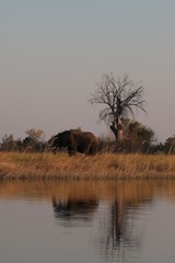 The dry season is characterized by clear blue skies which lead to cold nights in winter