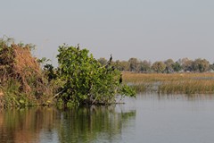 Fishermen