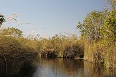 Narrow channel