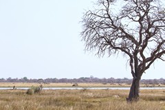  Another floodplain