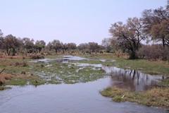  River channel