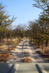 Many of the tracks are sandy and can be slow to drive over in the dry season when they are loose and uncompacted