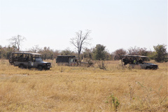 Cars tend to crowd big cat sightings. What makes it worse is people chattering and calling between cars. It spoils both the mood and the sighting