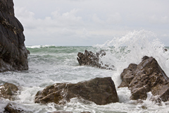 North Cornwall coast 1