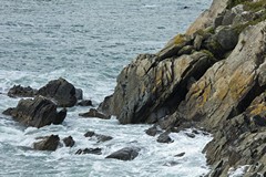 South Cornwall coast 3