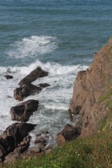 North Cornwall coast 5