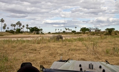 An object in the foreground helps to emphasise a sense of depth and distance in the photo. If the object is within around 2m of the camera you would need a small aperture to get everything in focus.