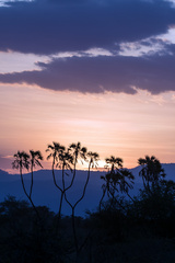 This shot illustrates the rule of thirds in the way the sky and land are divided. Also it uses layering of the background hills to give a sense of depth