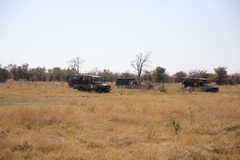 Here a pride of lions are quickly being hemmed in by carloads of tourists. In busy areas you can expect this around all the big cat sightings. Personally I ask the guide to take me to quieter places if nobody else is on board