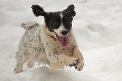 Lovely! Her head is in focus and no blurring due to a 1/1600s shutter speed