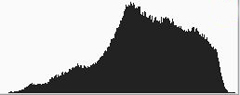 Histogram of Impala at waterhole