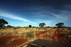 The very red lateritic soil is a feature of the area